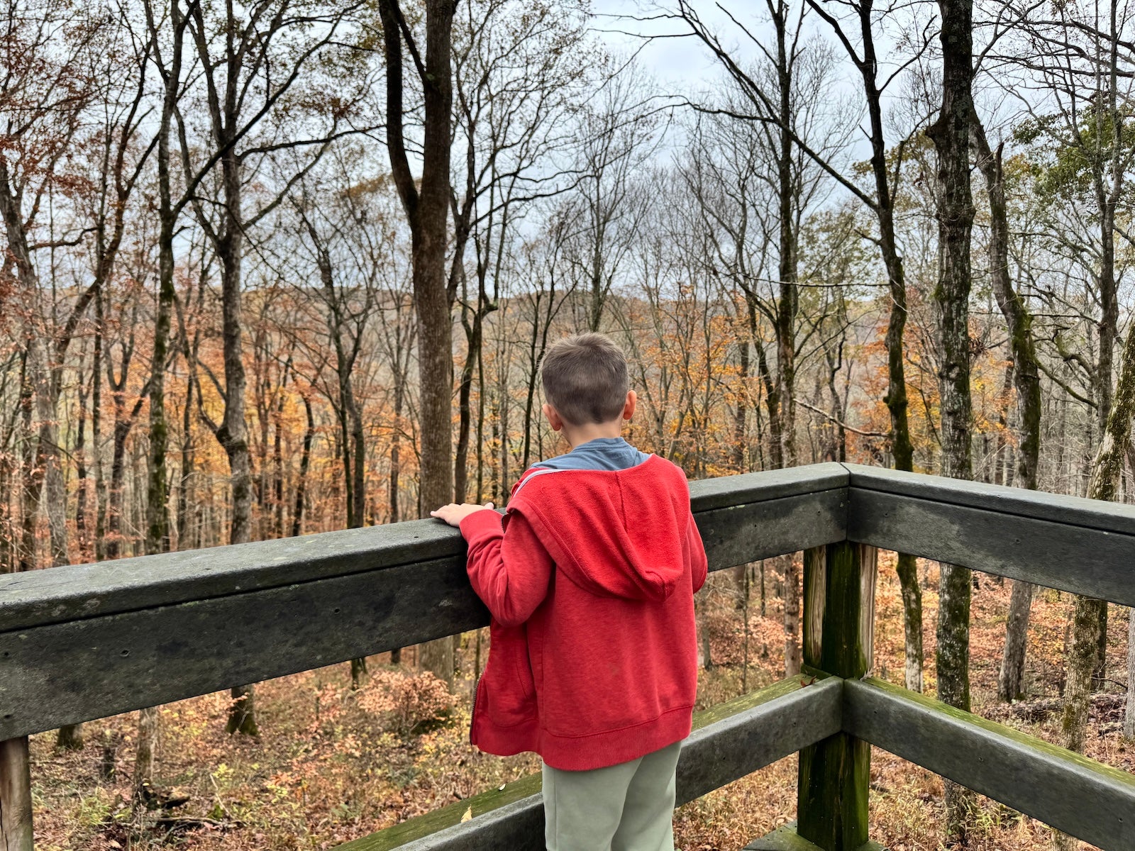 Mammoth Cave Apple Maps Hike