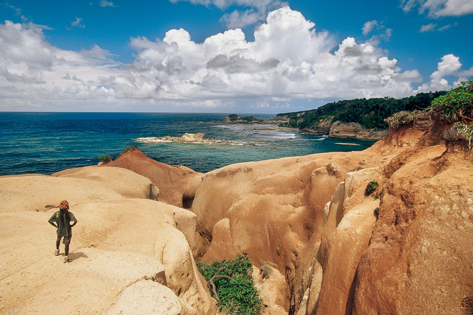 Man stands on a rocky, rugged coast in Dominica looking out to sea; Dominica