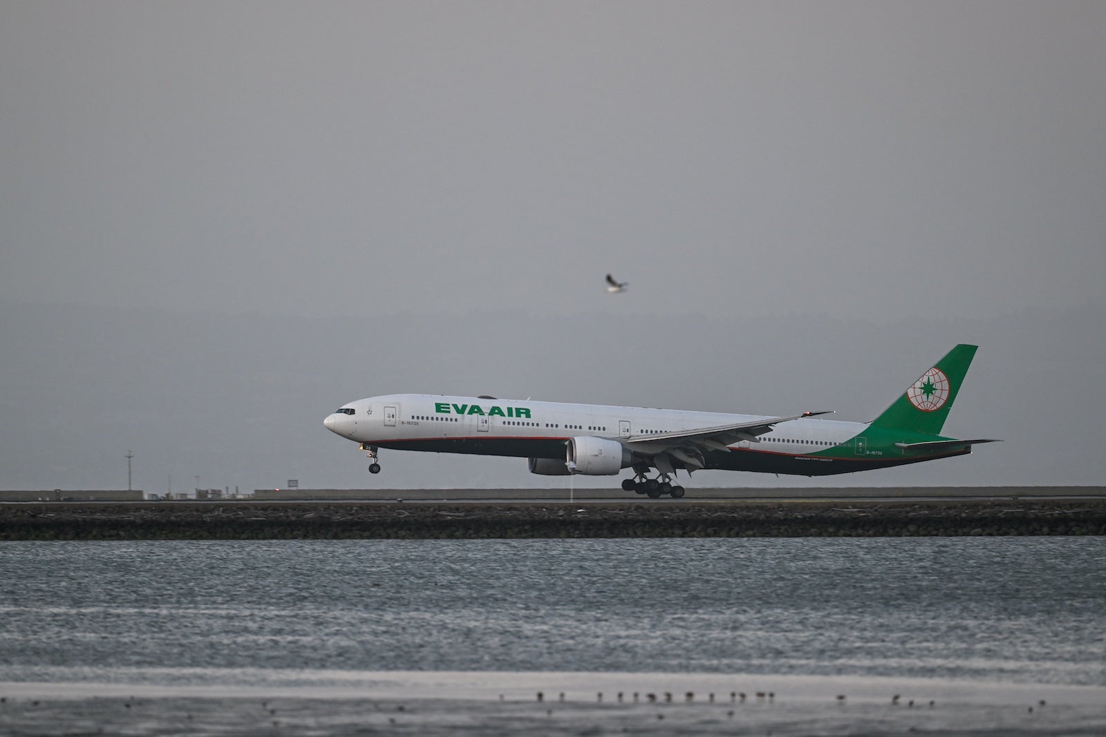 Planes at San Francisco International Airport (SFO)