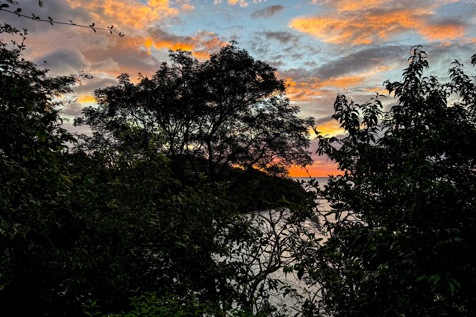 20241212 FSCR ERosen Four Seasons Papagayo Costa Rica sunset trees1