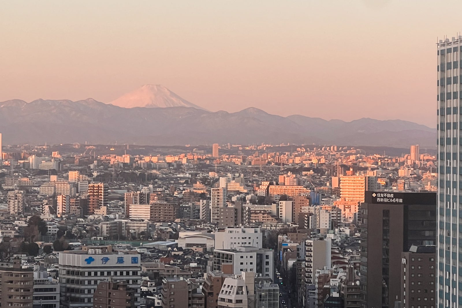 Tokyo Narita vs. Haneda: Which airport ought to I fly into?