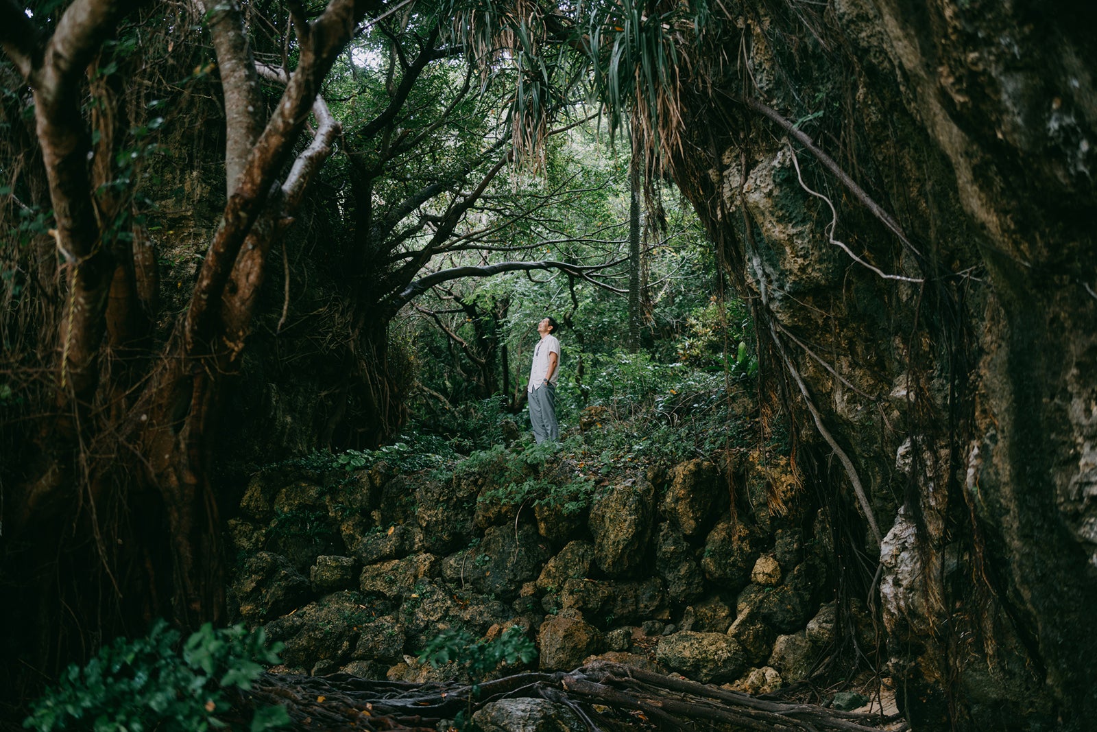 Man in forest in Okinawa Japan Ippei Naoi