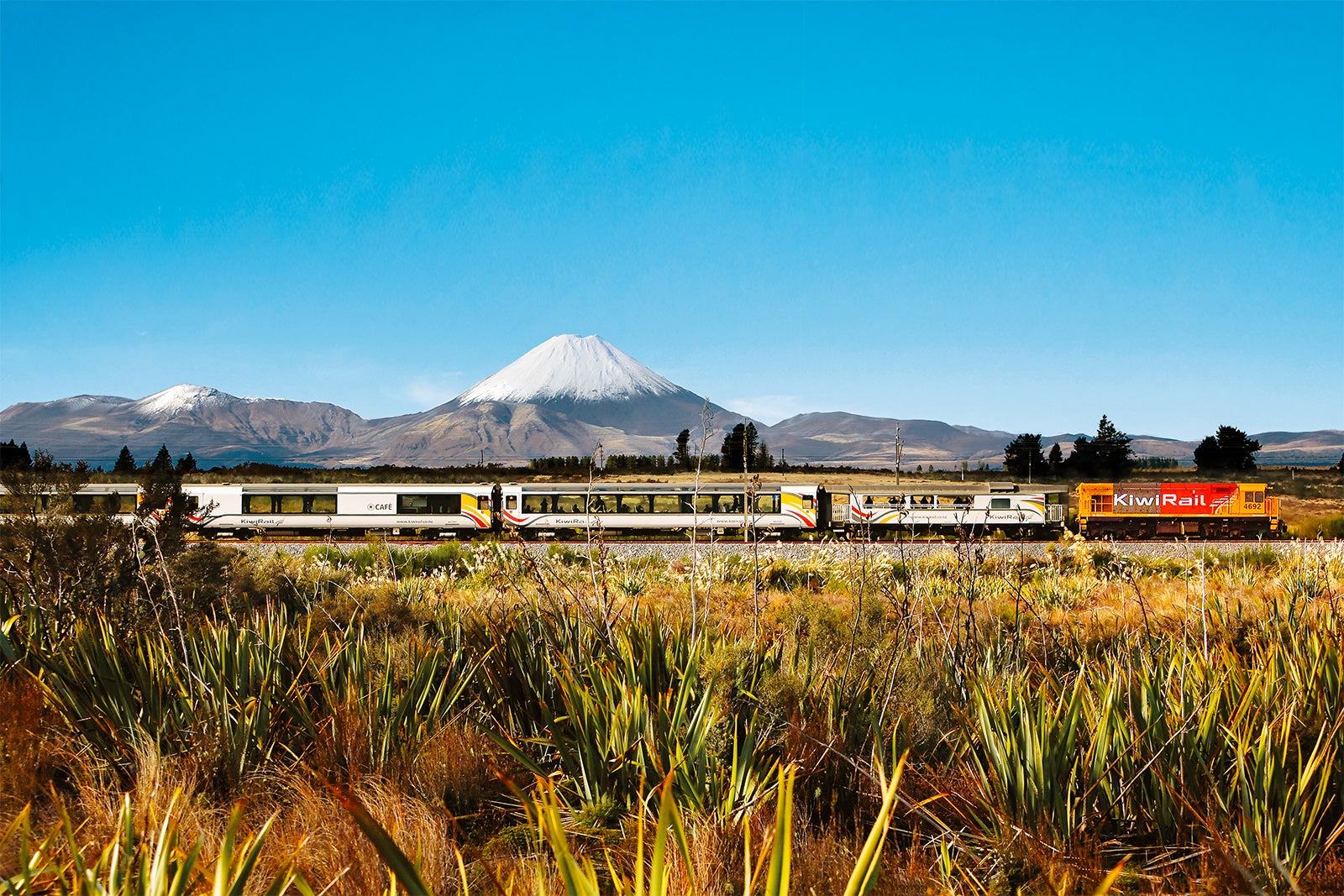 Northern Explorer heads south from Tongoriro National Park copy